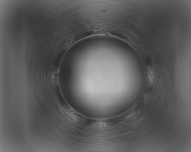 X0000054400276200508011330