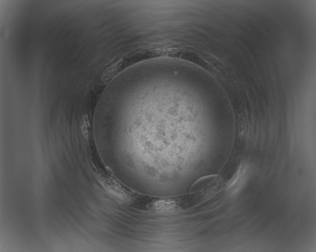 X0000054400279200508011330