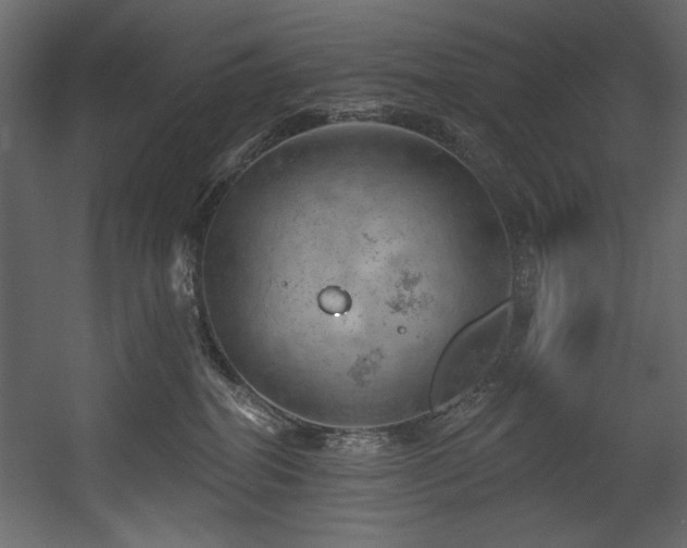 X0000054400282200508011330