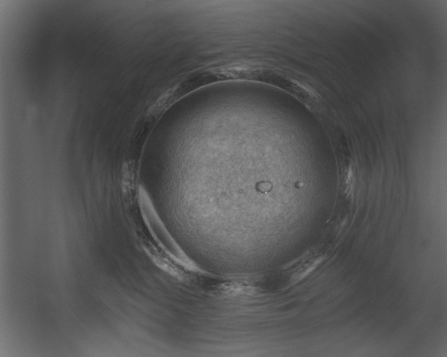 X0000054400284200508011330