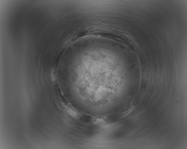 X0000054400285200508011330