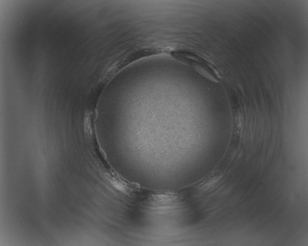 X0000054400286200508011330