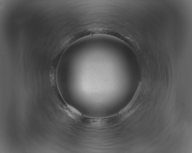 X0000054400288200508011330