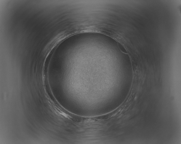 X0000054400290200508011330