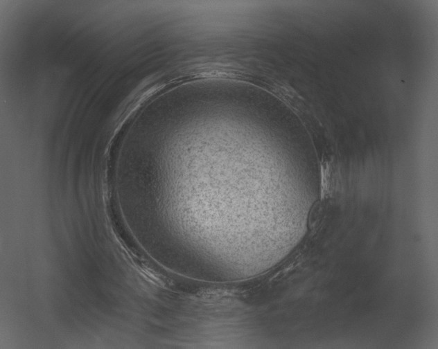 X0000054400291200508011330