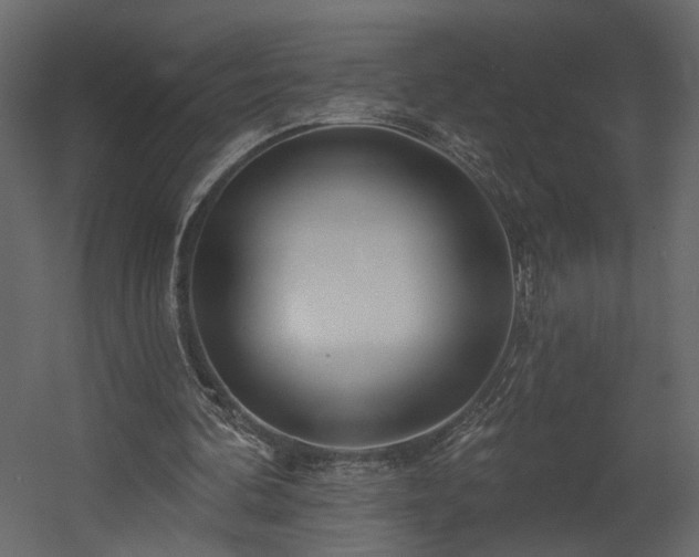 X0000054400292200508011330