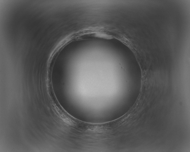 X0000054400293200508011330