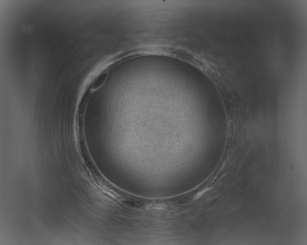 X0000054400294200508011330