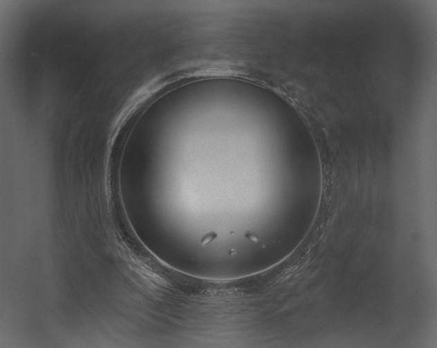 X0000054400296200508011330