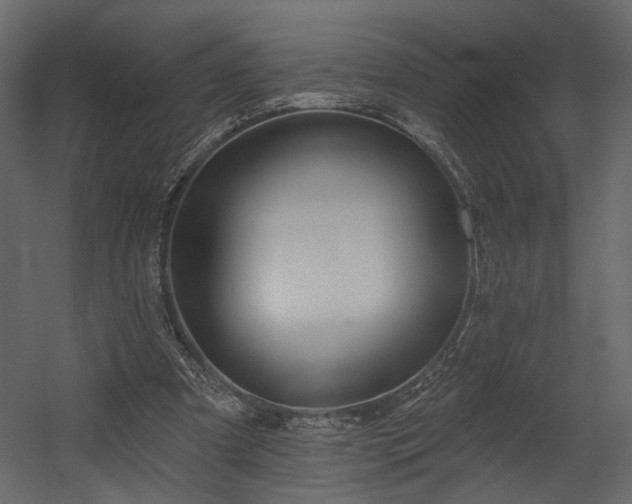 X0000054400297200508011329