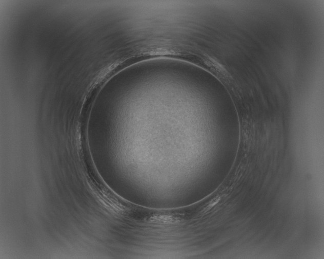 X0000054400298200508011329