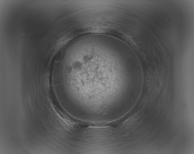 X0000054400299200508011329