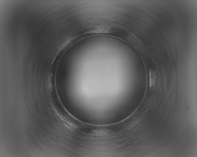 X0000054400300200508011329