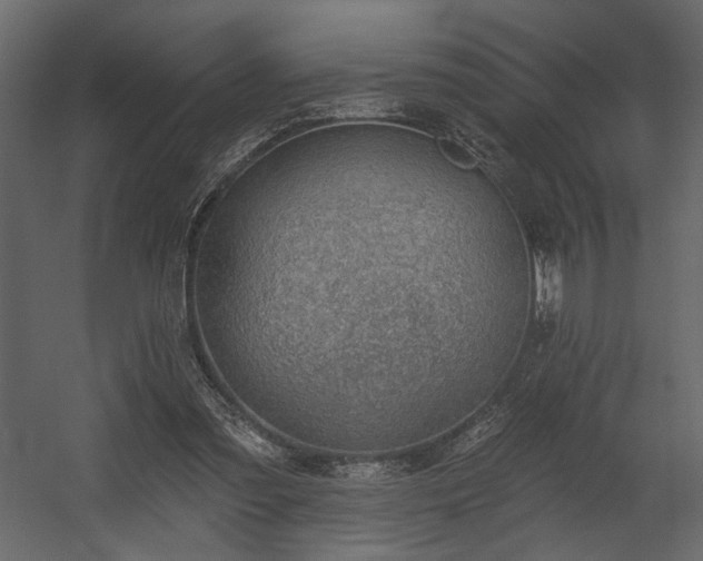 X0000054400301200508011329