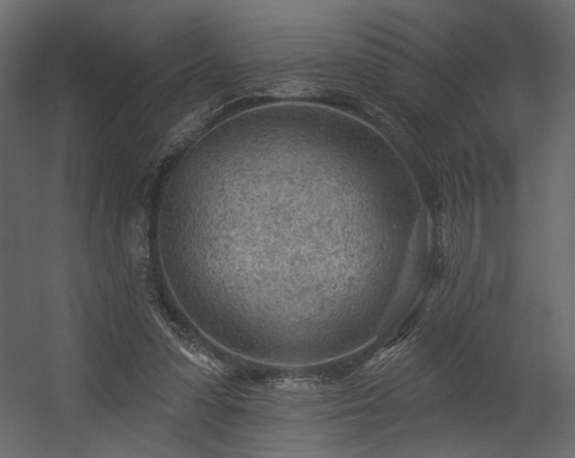 X0000054400303200508011329