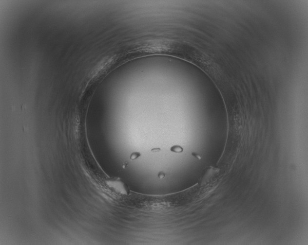 X0000054400304200508011329