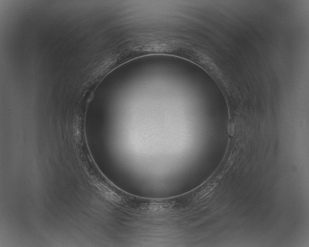 X0000054400305200508011329