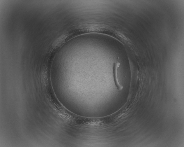 X0000054400306200508011329