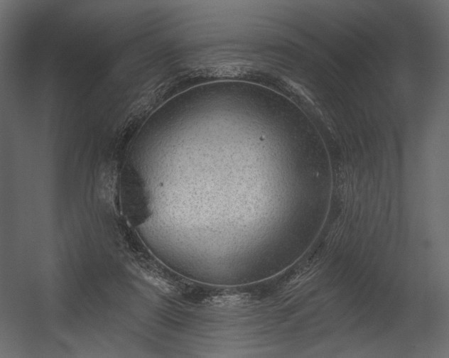 X0000054400307200508011329