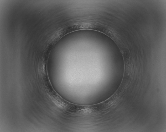 X0000054400310200508011329