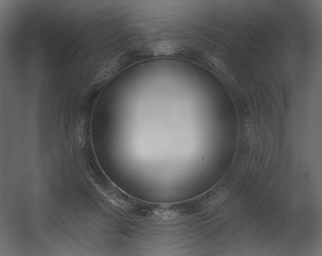 X0000054400311200508011329