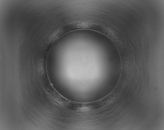 X0000054400312200508011329