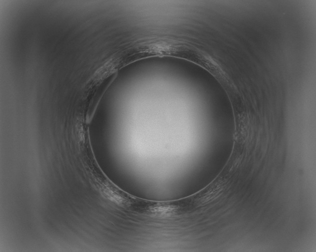 X0000054400313200508011329