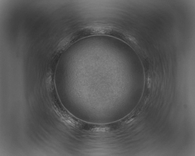 X0000054400314200508011329