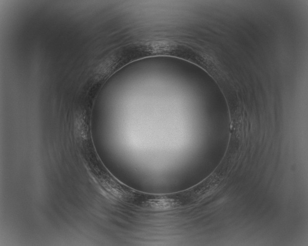 X0000054400316200508011329