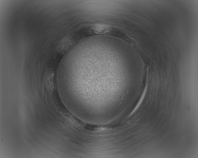 X0000054400319200508011329