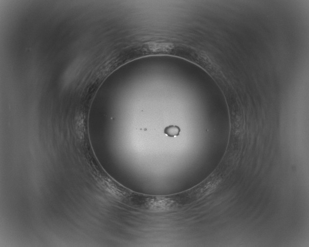 X0000054400321200508011329