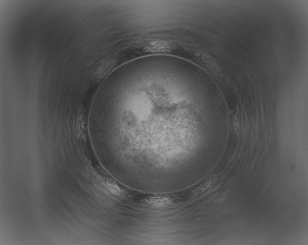 X0000054400322200508011329