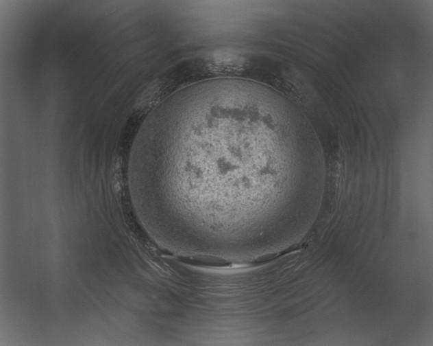 X0000054400323200508011329