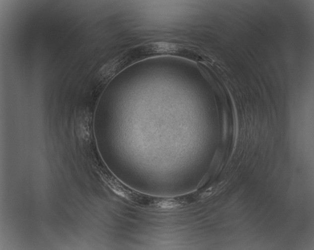 X0000054400325200508011329