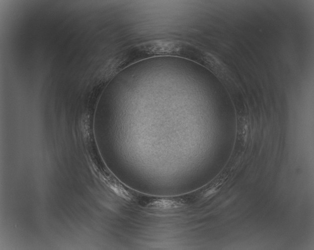 X0000054400326200508011329