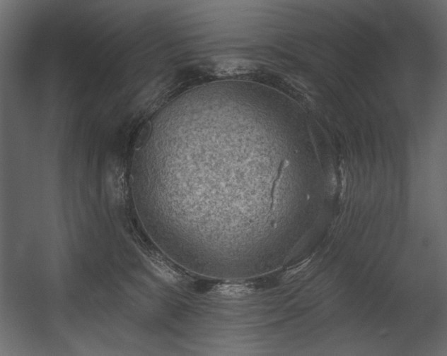 X0000054400327200508011329