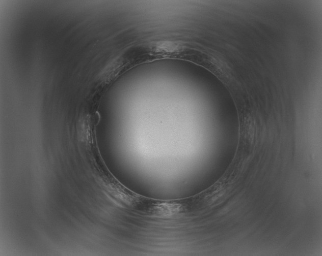 X0000054400328200508011329