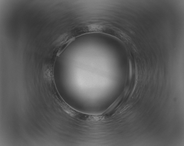 X0000054400329200508011329