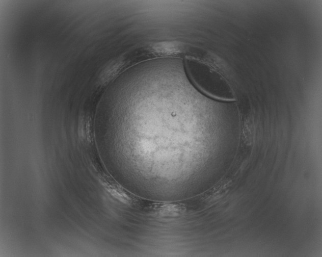 X0000054400330200508011329