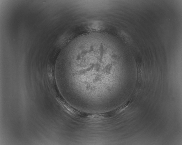 X0000054400331200508011329