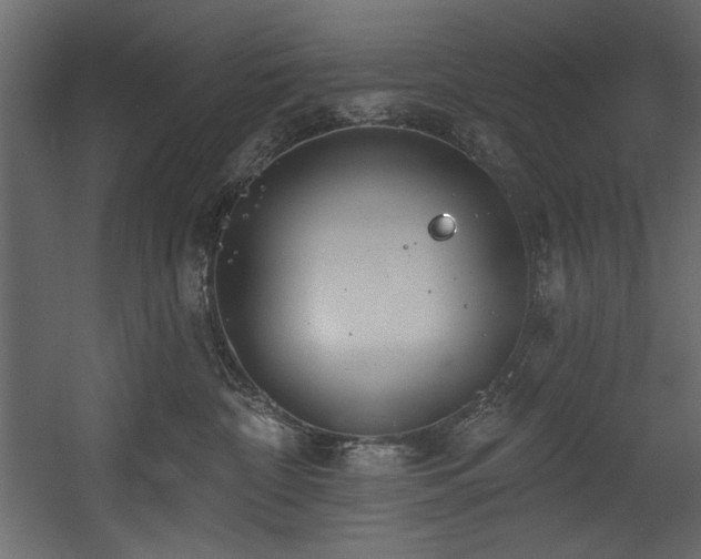 X0000054400332200508011329