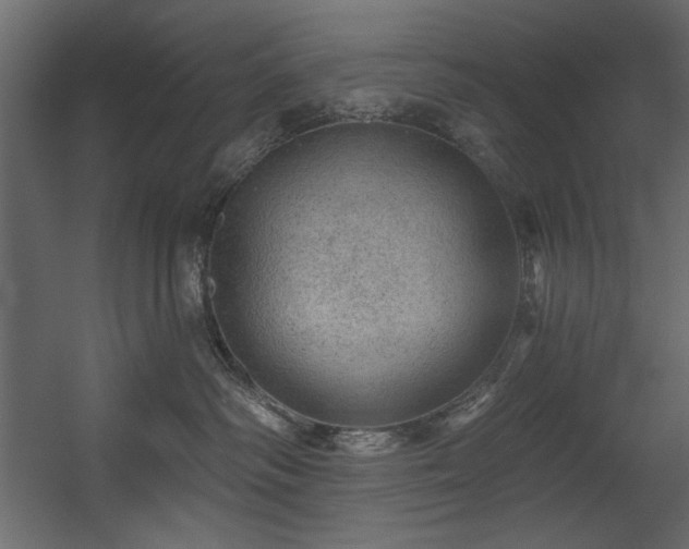 X0000054400334200508011329