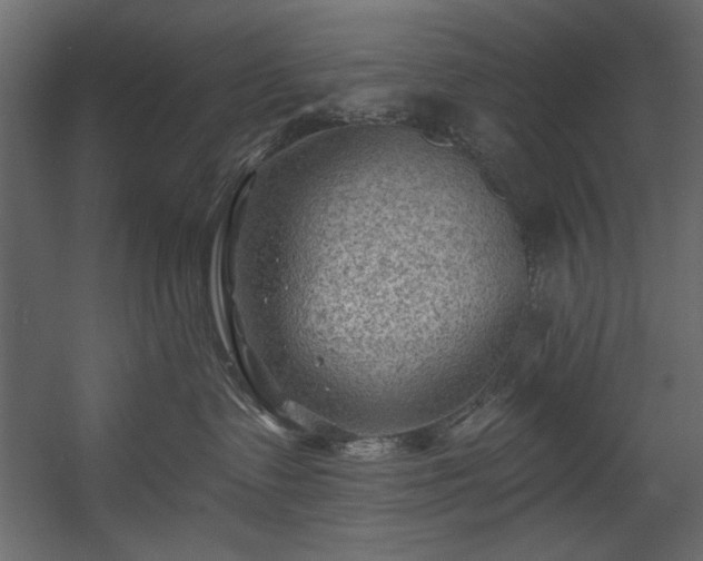 X0000054400335200508011329