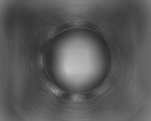 X0000054400336200508011329