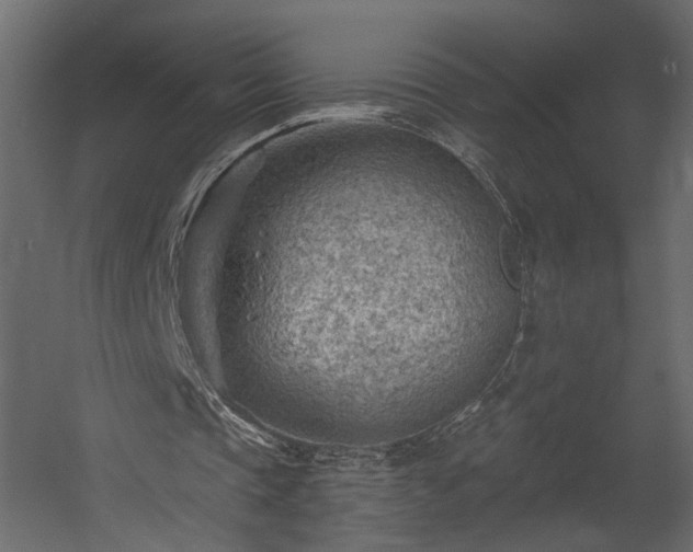 X0000054400337200508011328