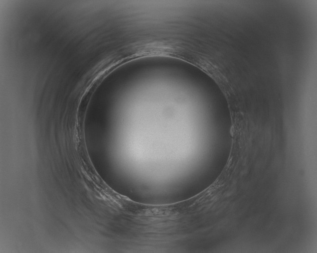 X0000054400338200508011328