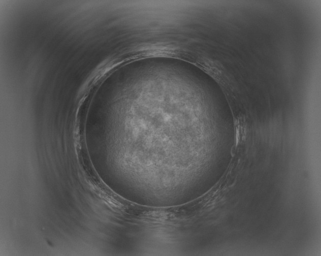 X0000054400339200508011328