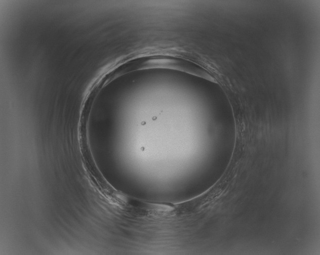 X0000054400340200508011328