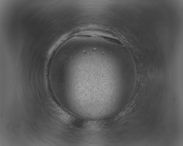 X0000054400341200508011328