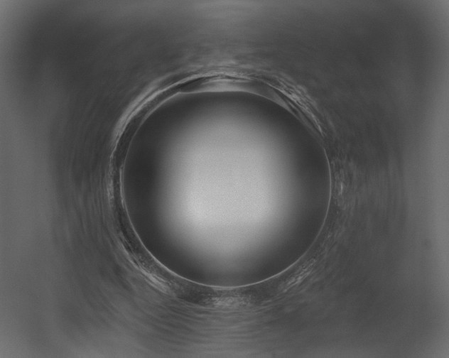 X0000054400344200508011328